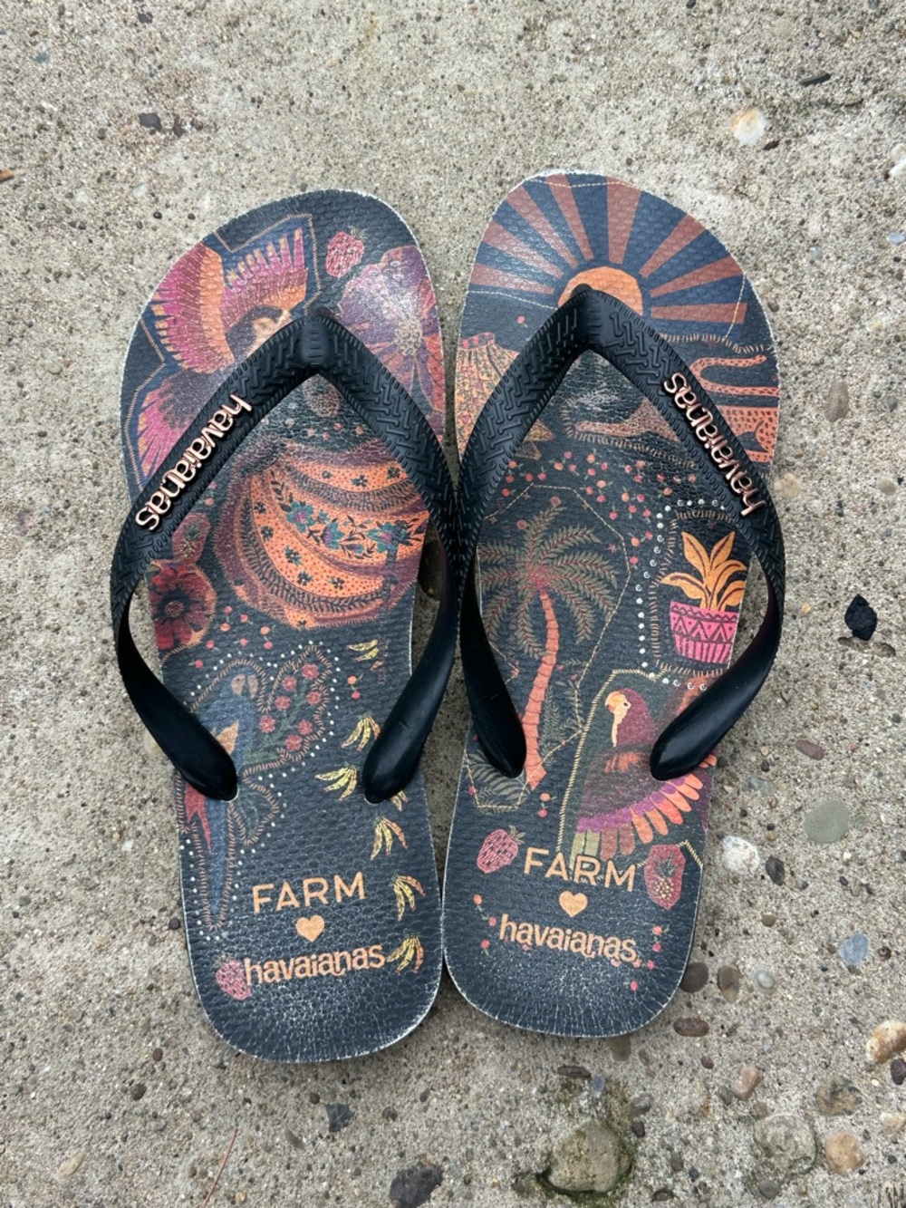 Havaianas X Farm Rio Black Tropical Print Flip Flops